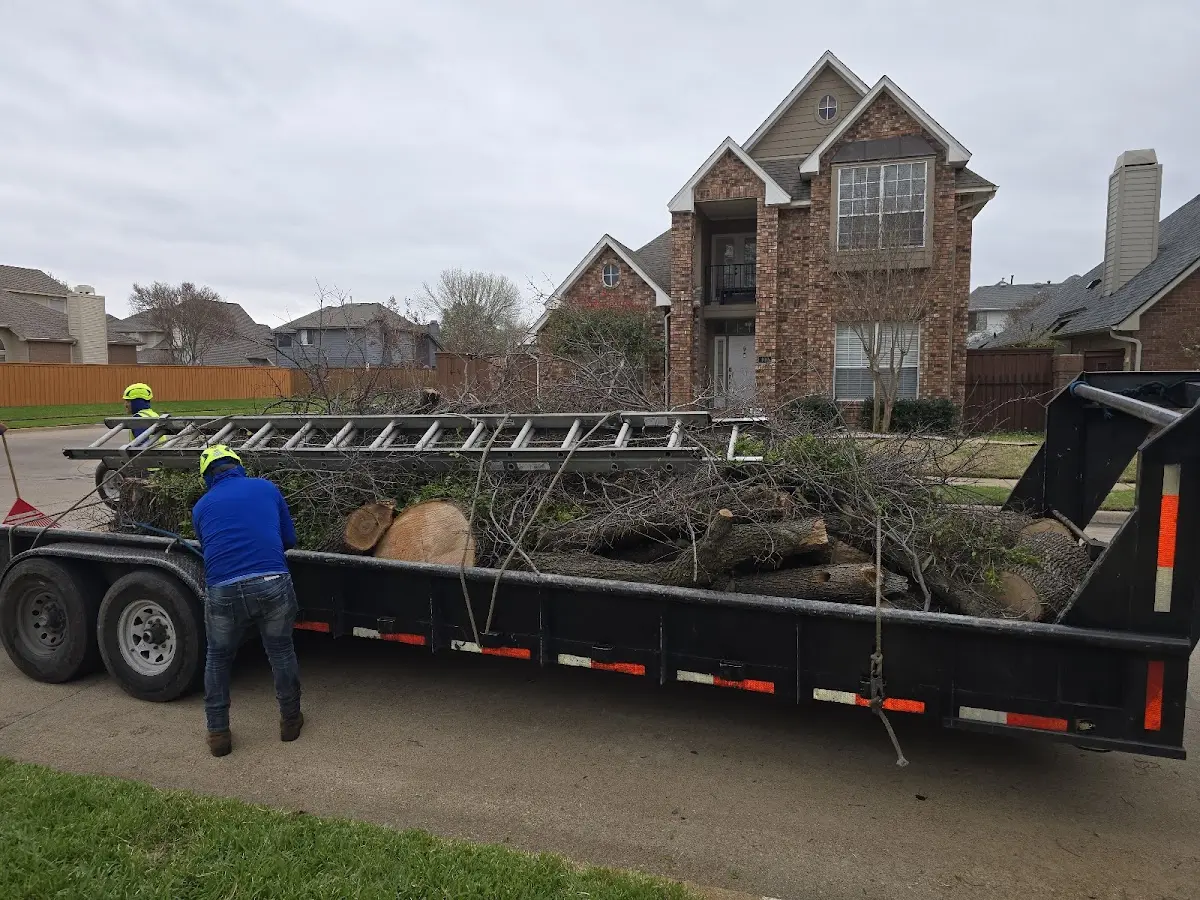 Expert Tree Fertilization with proper safety equipment in Alamosa